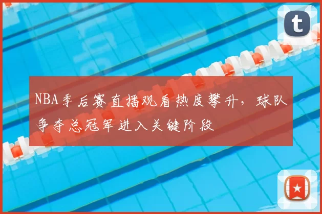 NBA季后赛直播观看热度攀升，球队争夺总冠军进入关键阶段