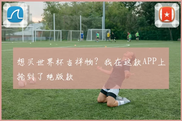想买世界杯吉祥物?我在这款APP上抢到了绝版款