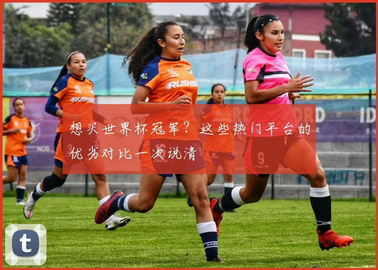 想买世界杯冠军？这些热门平台的优劣对比一次说清