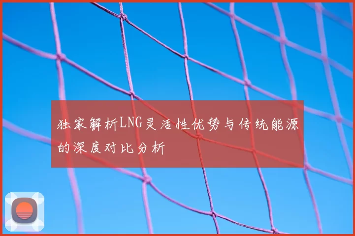 独家解析LNG灵活性优势与传统能源的深度对比分析