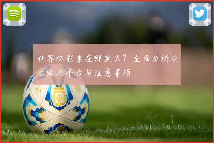 世界杯彩票在哪里买?全面分析合法购彩平台与注意事项