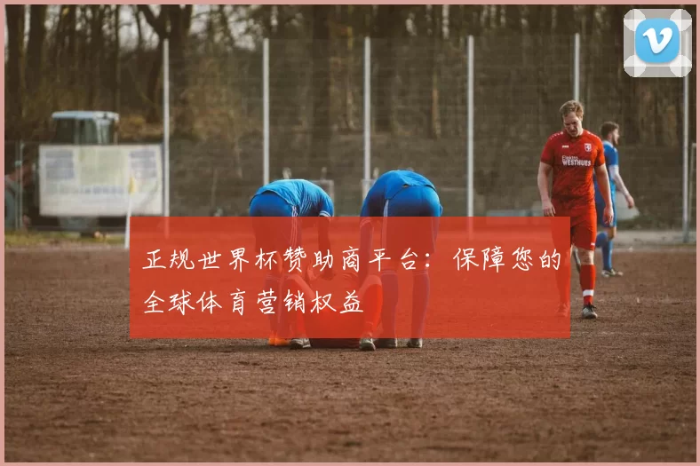 正规世界杯赞助商平台:保障您的全球体育营销权益