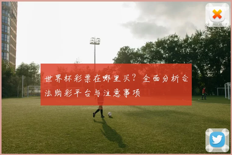 世界杯彩票在哪里买?全面分析合法购彩平台与注意事项