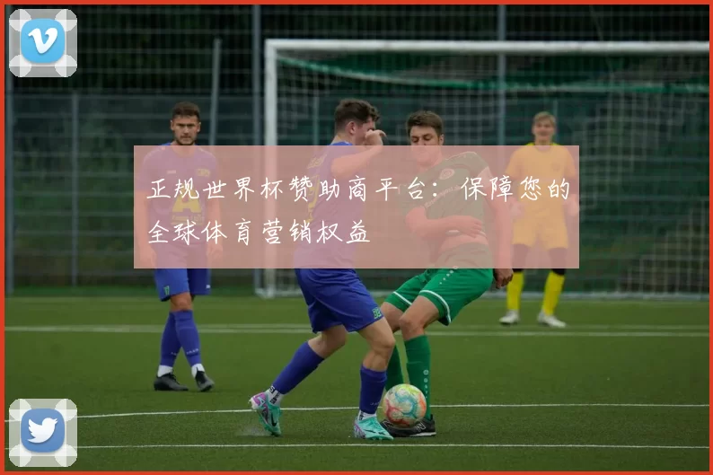 正规世界杯赞助商平台:保障您的全球体育营销权益