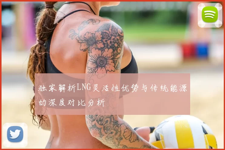 独家解析LNG灵活性优势与传统能源的深度对比分析