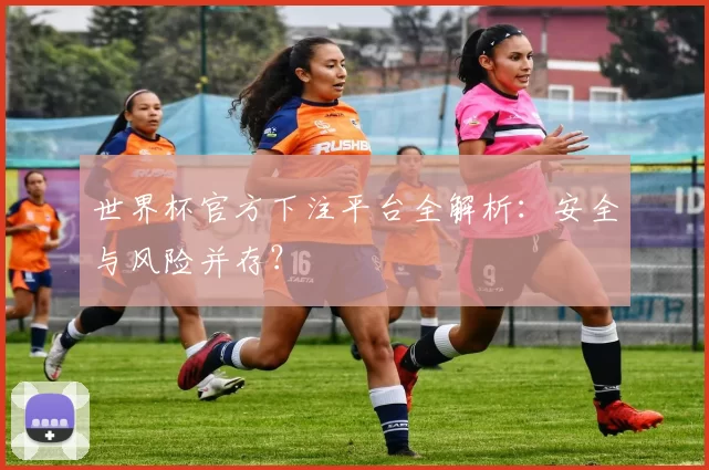 世界杯官方下注平台全解析：安全与风险并存？