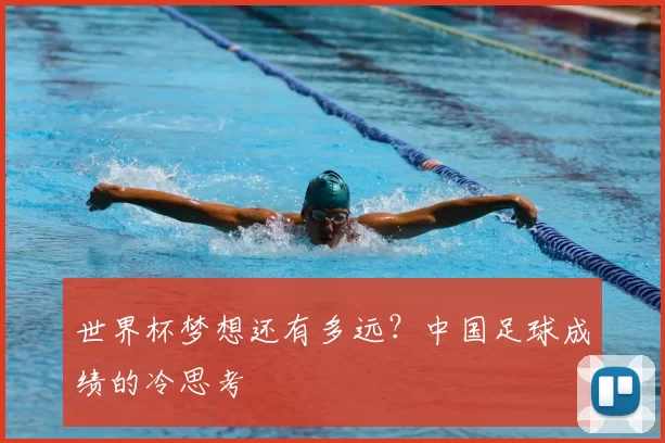 世界杯梦想还有多远?中国足球成绩的冷思考