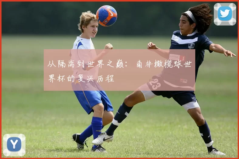 从隔离到世界之巅：南非橄榄球世界杯的复兴历程