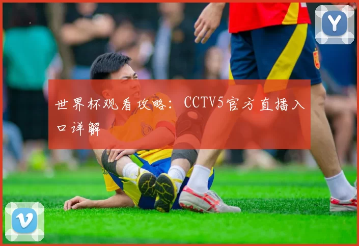 世界杯观看攻略:CCTV5官方直播入口详解
