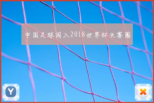 中国足球闯入2018世界杯决赛圈