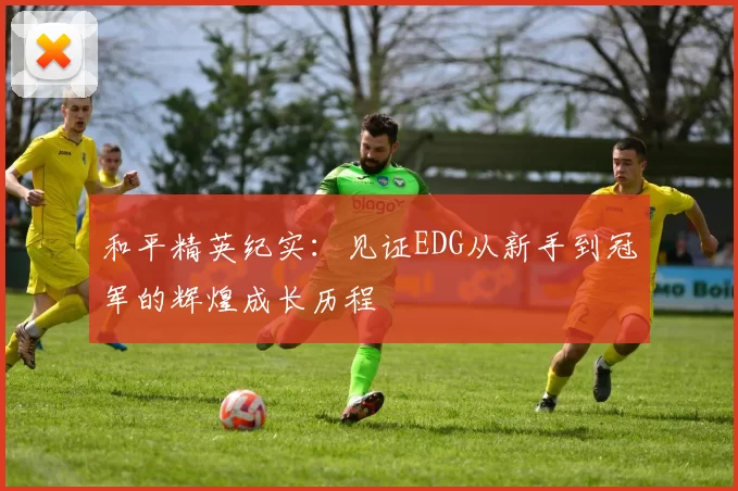 和平精英纪实：见证EDG从新手到冠军的辉煌成长历程