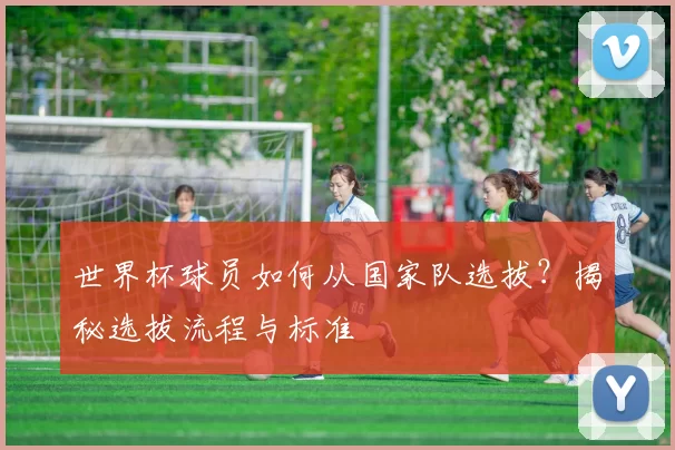世界杯球员如何从国家队选拔？揭秘选拔流程与标准