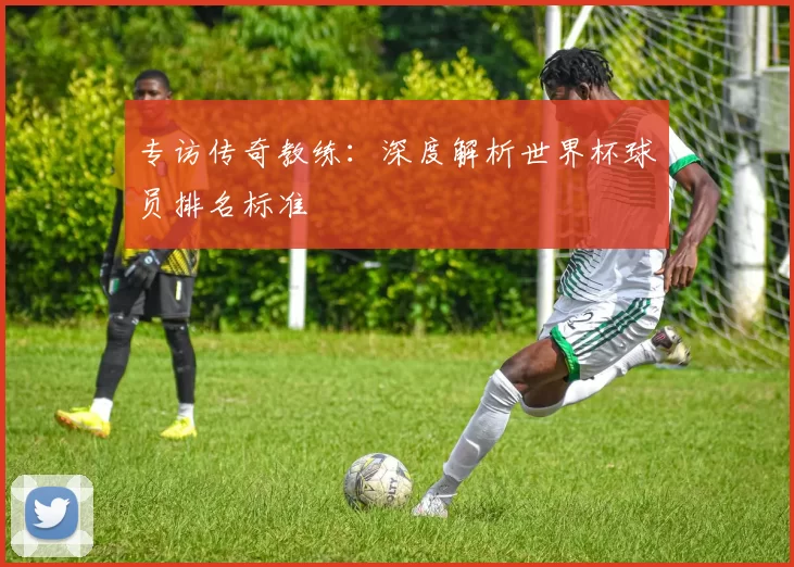 专访传奇教练:深度解析世界杯球员排名标准