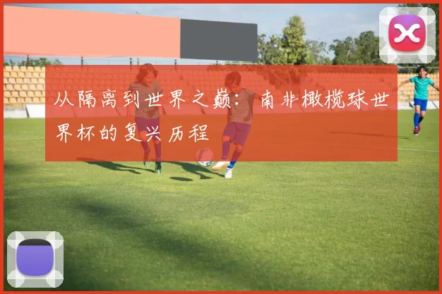 从隔离到世界之巅：南非橄榄球世界杯的复兴历程