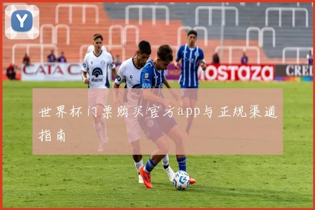 世界杯门票购买官方app与正规渠道指南